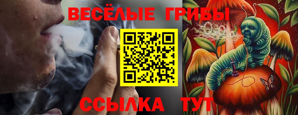 как найти закладки  Вход с VPN  Нововоронеж  Галлюциногенные грибы Psilocybe 