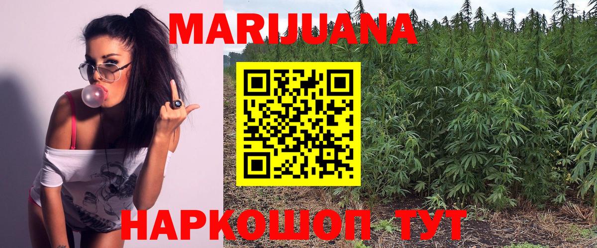 Конопля Bruce Banner Нововоронеж